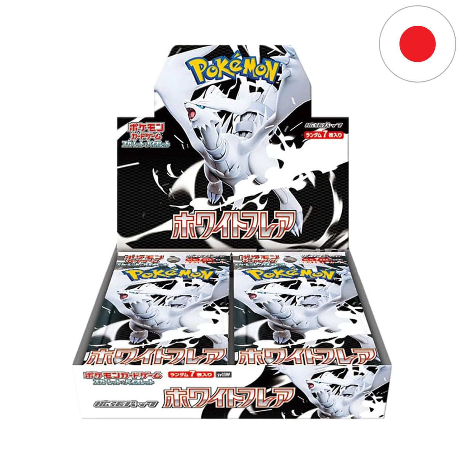 Das japanische Standard Pokémon Display von White Flare SV11W mit Reshiram auf dem Cover.