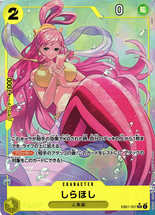 Gallery Bild