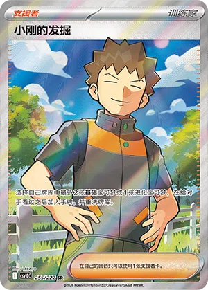 Rockos Erkundung 255/222 Chasing Glory Together Pokémon Karte