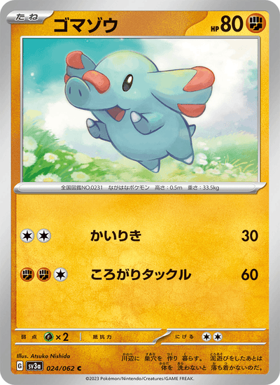 Phanpy 024/062 Raging Surf Pokémon Karte