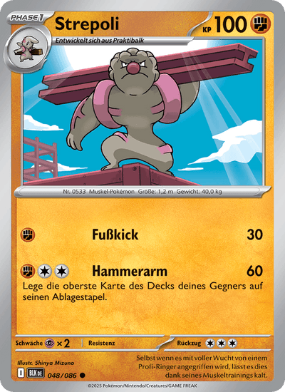 Strepoli 048/086 Schwarze Blitze Pokémon Karte