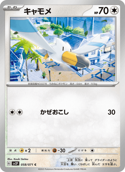 Wingull 058/071 Snow Hazard Pokémon Karte